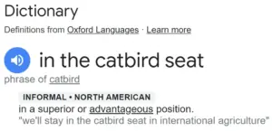 Explanation of what "in the Catbird seat" means and why we chose the name